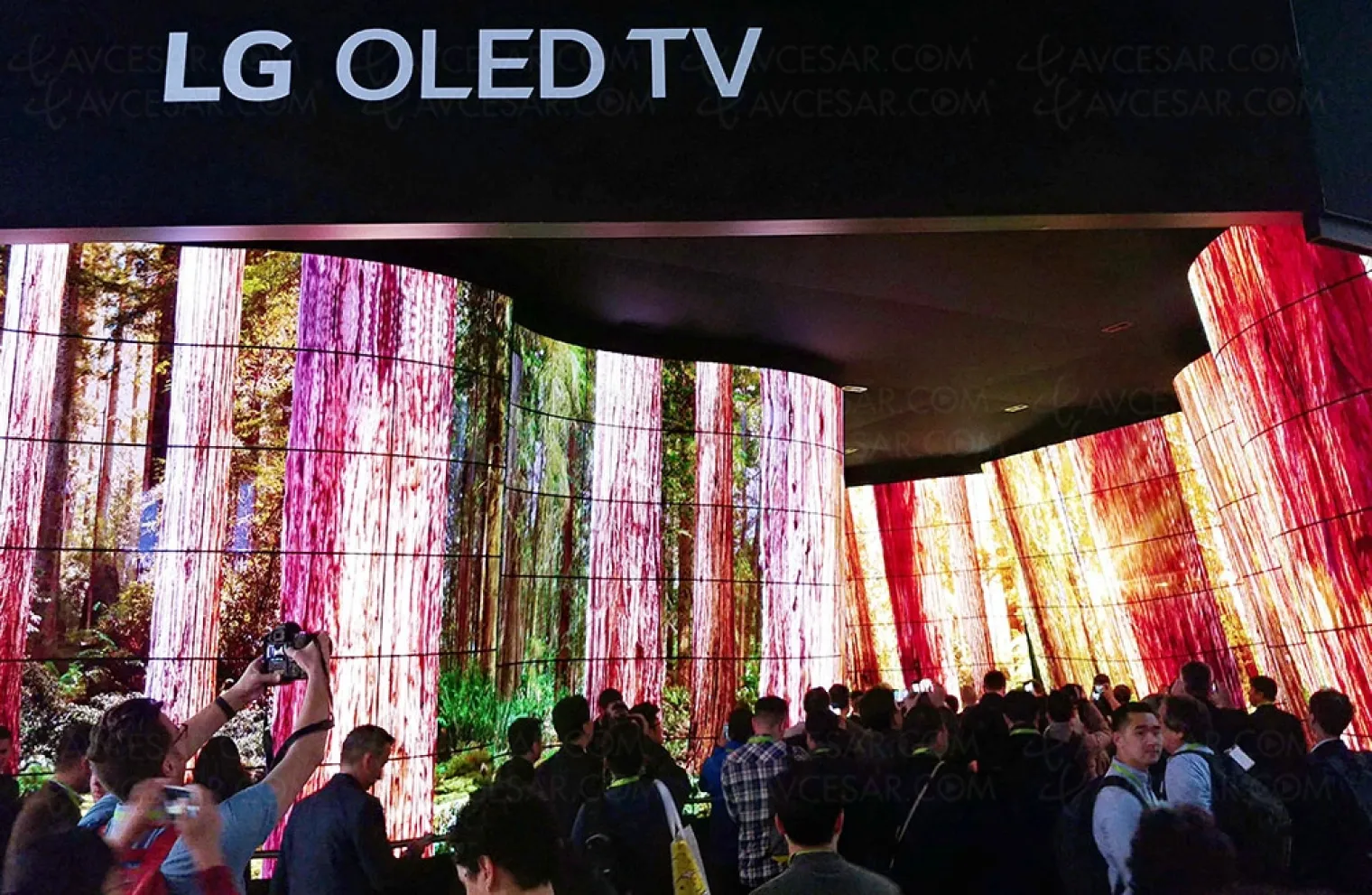 lg-mise-tout-sur-l-oled-avec-la-construction-de-l-usine-tv-la-plus-avancee-au-monde