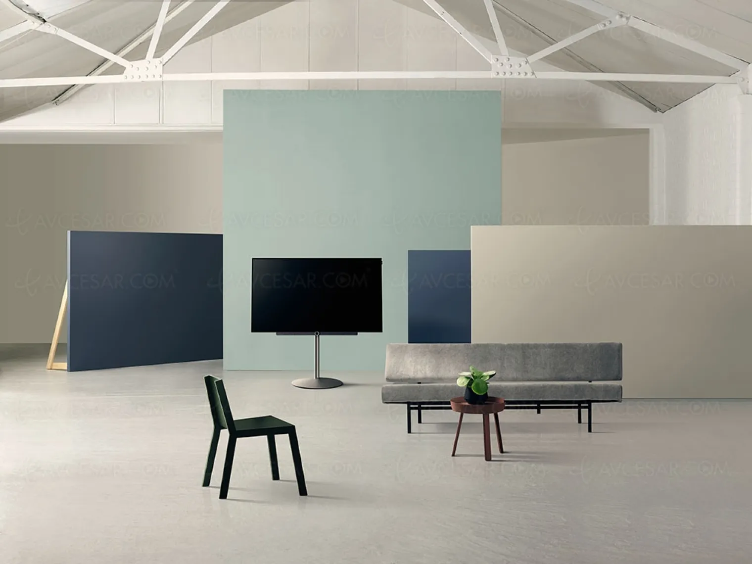 tv-oled-ultra-hd-plat-loewe-bild-3-65-65-devoile