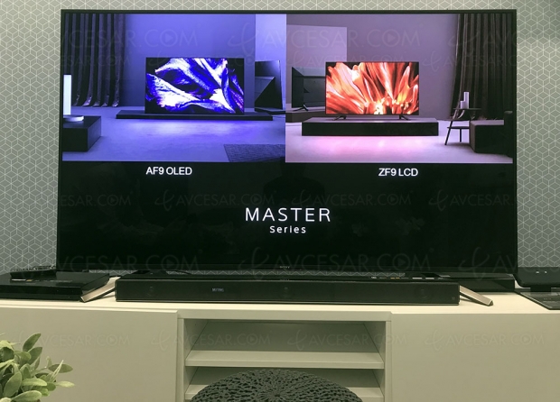 TV Master Series Ultra HD Oled Sony AF9 et LED Sony ZF9, le must de la marque !
