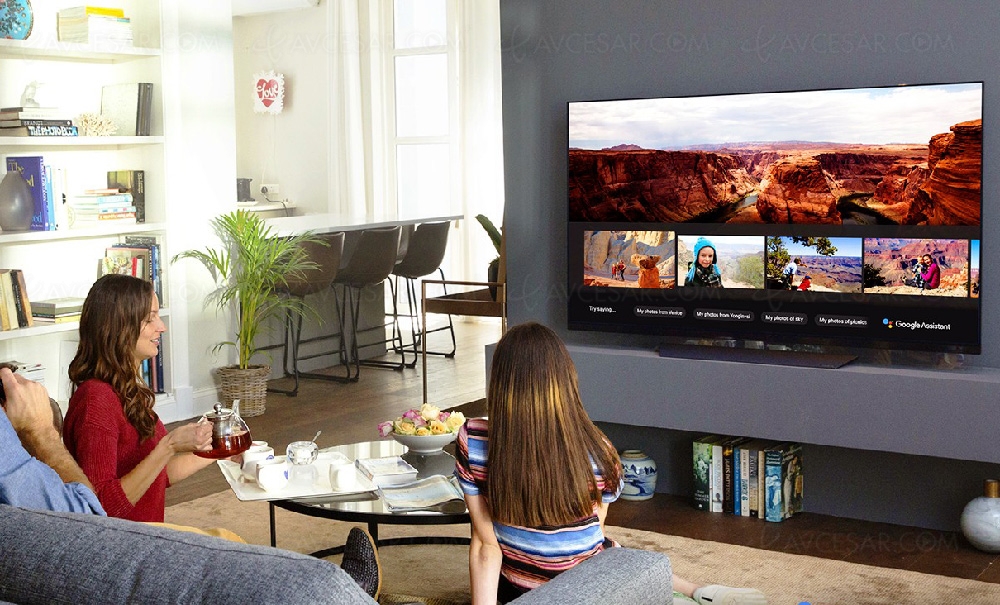 Lg sk8500 google assistant top