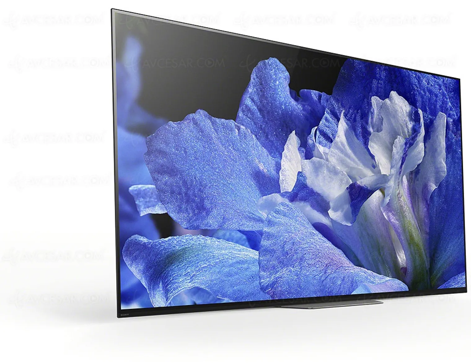 ifa-18-tv-oled-ultra-hd-sony-af8-mise-a-jour-prix-indicatifs