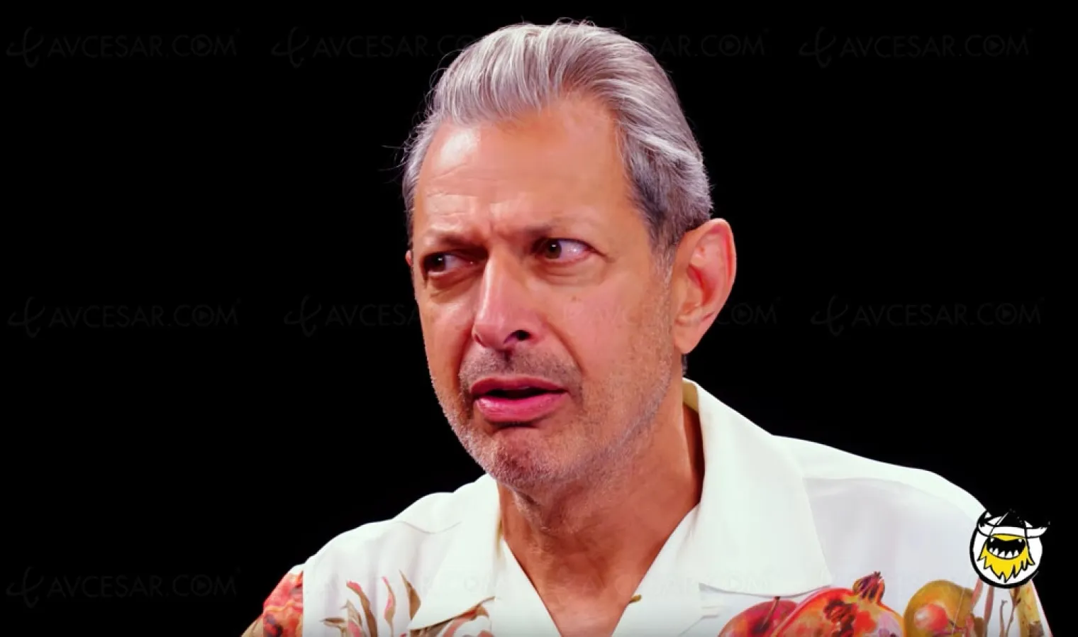 breaking-news-jeff-goldblum-dans-une-sequence-hot-cronenberg-pensera-t-il-a-lui-pour-sa-future-serie