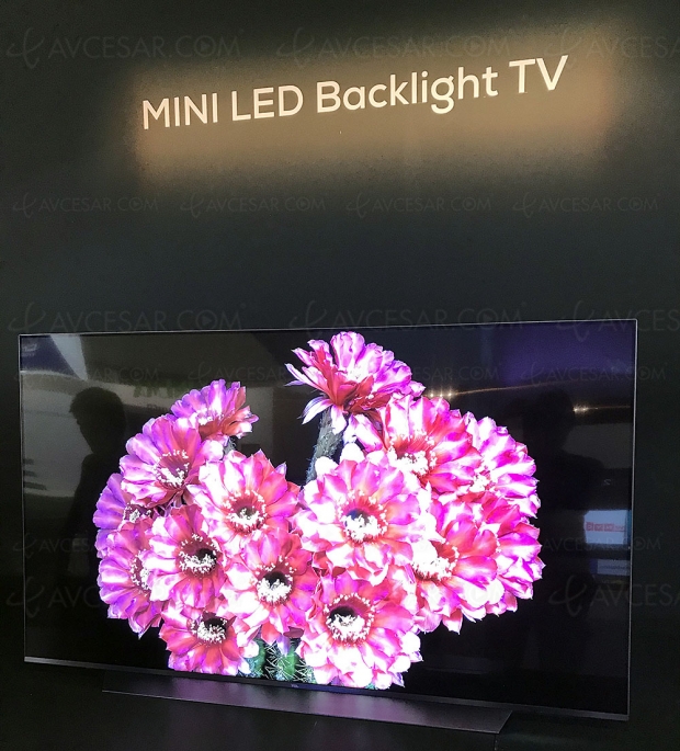 ifa-18-tcl-devoile-un-prototype-tv-mini-led-55-pouces_prev_09112814.jpg