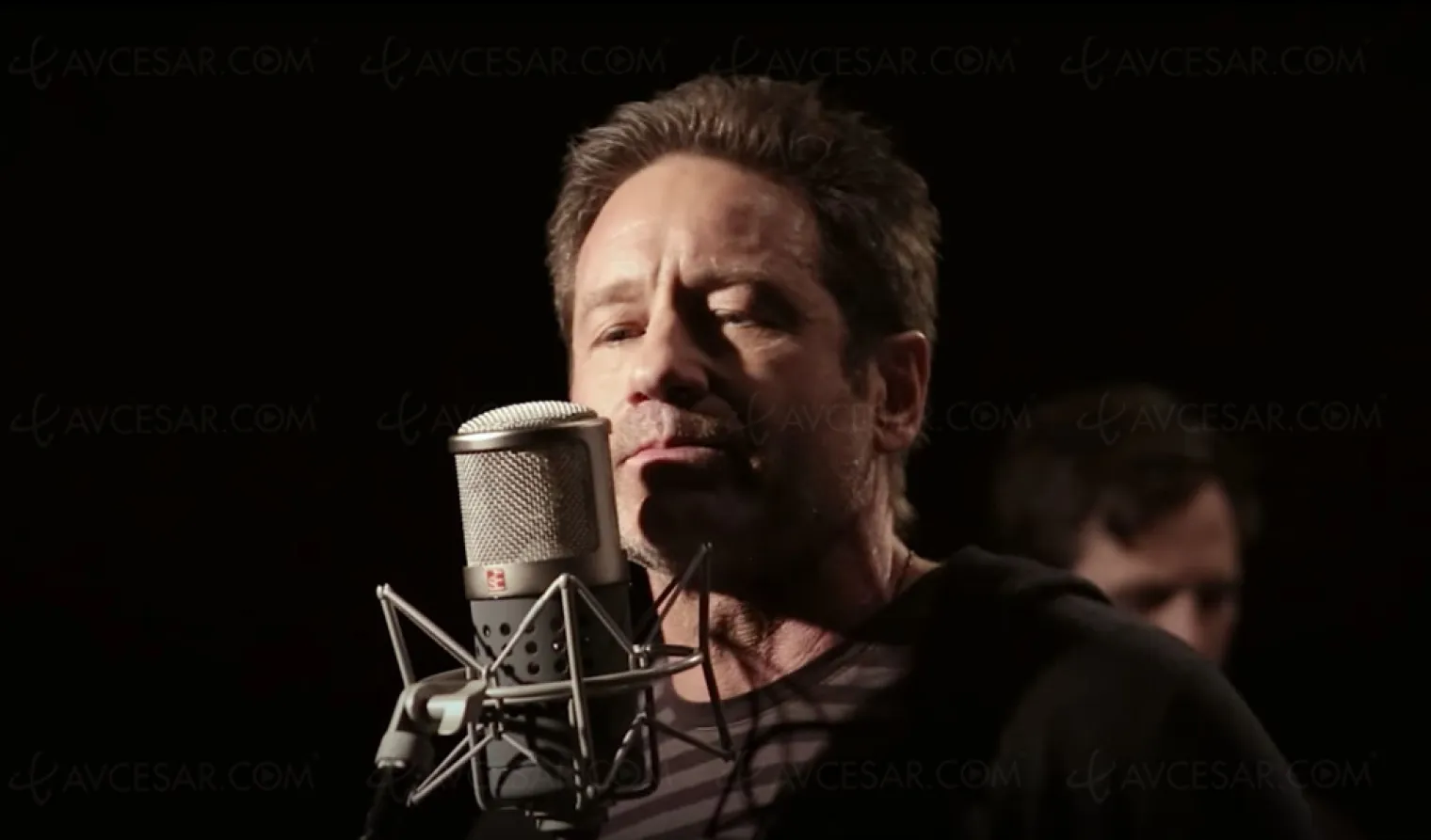 david-duchovny-en-concert-de-fox-mulder-a-folk-rockeur