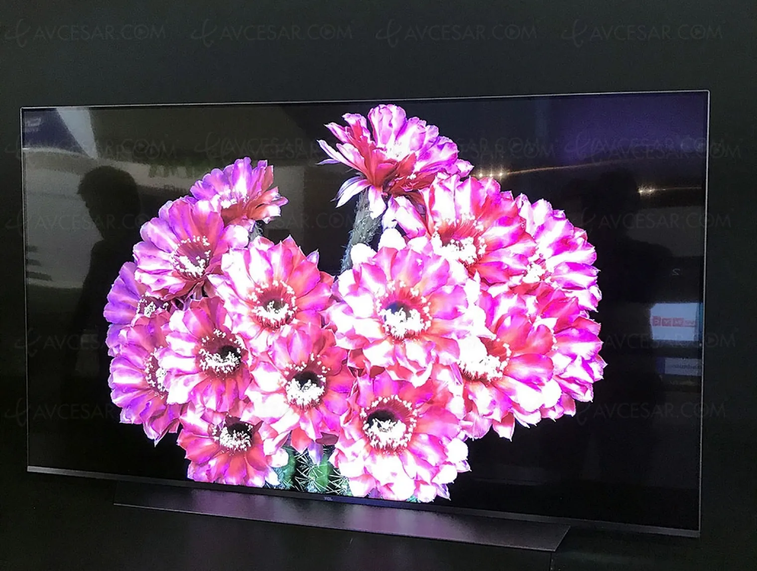 cran-lcd-aussi-performant-que-l-oled-grace-a-la-technologie-mini-led
