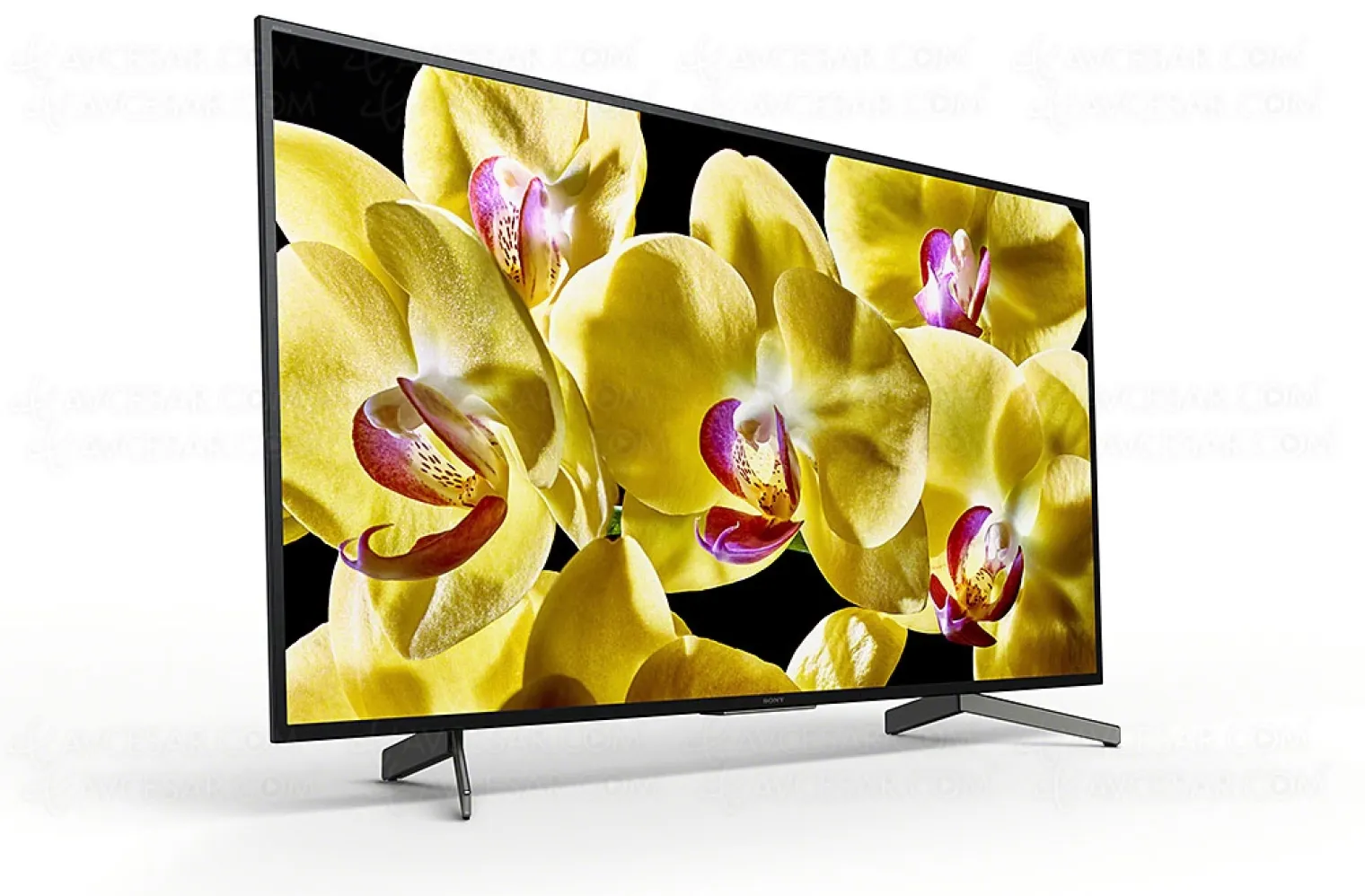 ces-19-tv-led-ultra-hd-sony-xg8005-du-43-au-75-pouces