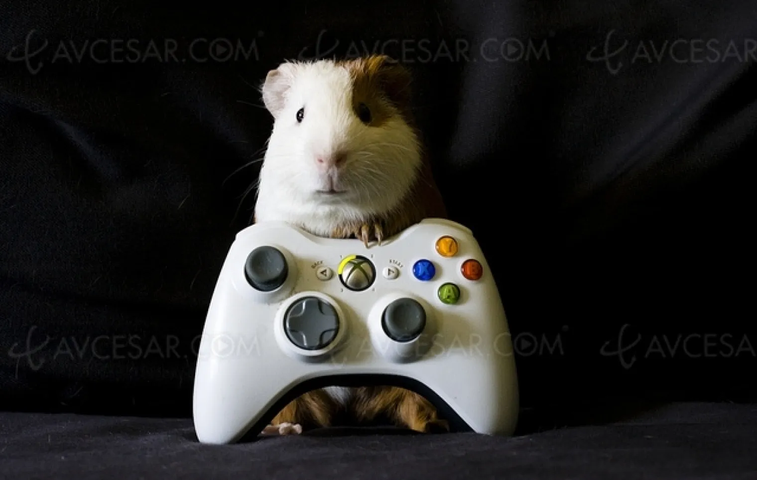 playstation-5-et-xbox-anaconda-annonces-cette-annee-sorties-en-2020