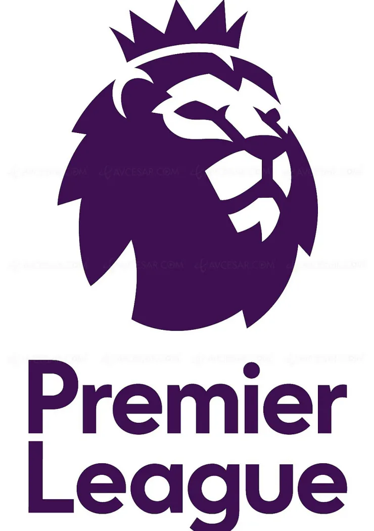 un-service-de-streaming-pour-la-premier-league-anglaise