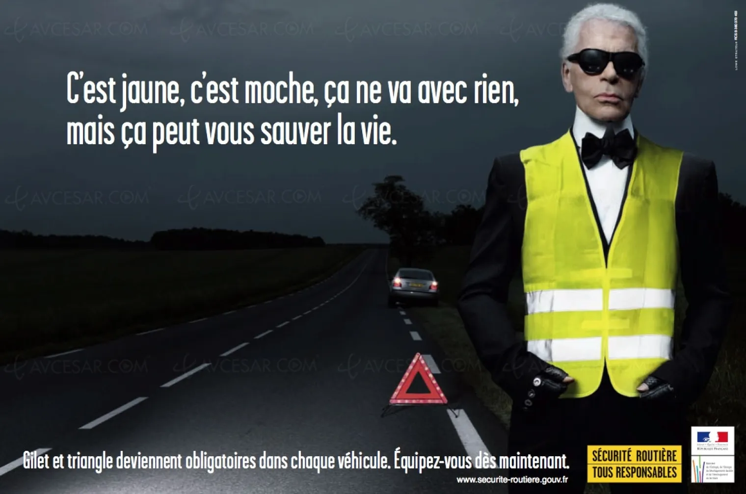 mort-de-karl-lagerfeld-une-vie-et-un-personnage-de-cinema