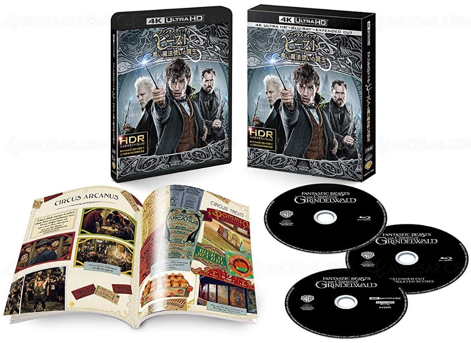 Les Animaux Fantastiques Les Crimes De Grindelwald Edition 4k Ultra Hd Au Japonles Animaux Fantastiques Les Crimes De Grindelwald Edition 4k Ultra Hd Au Japon Aussi
