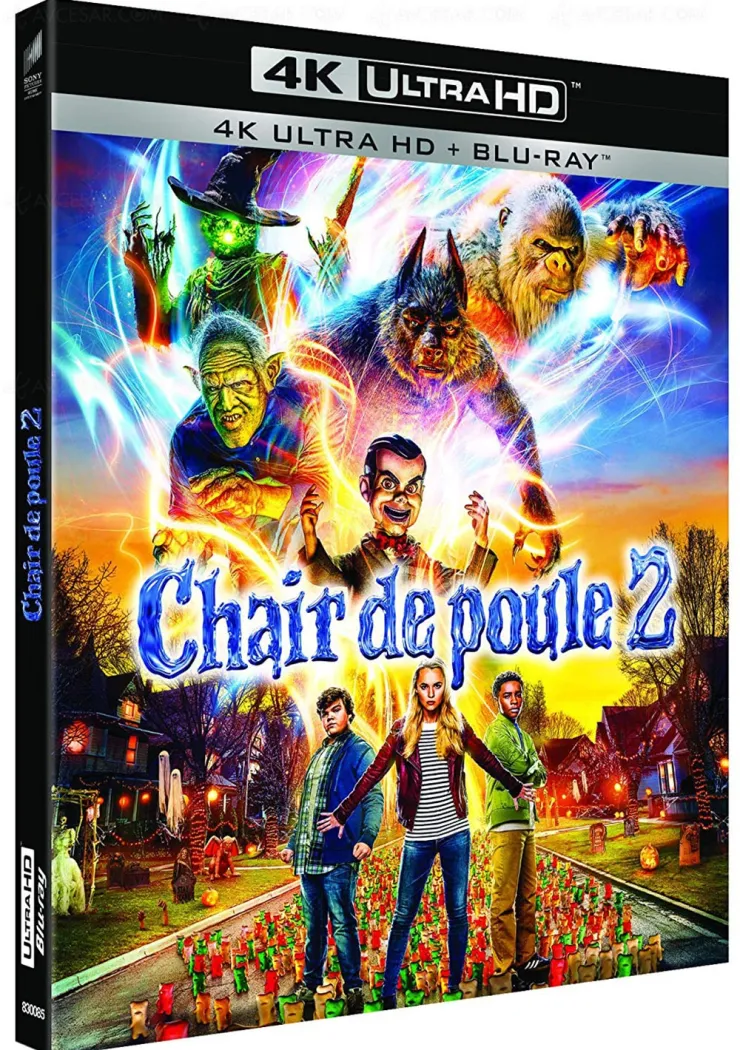 chair-de-poule-2-pour-faire-trembler-les-enfants-le-6-mars-en-4k-ultra-hd