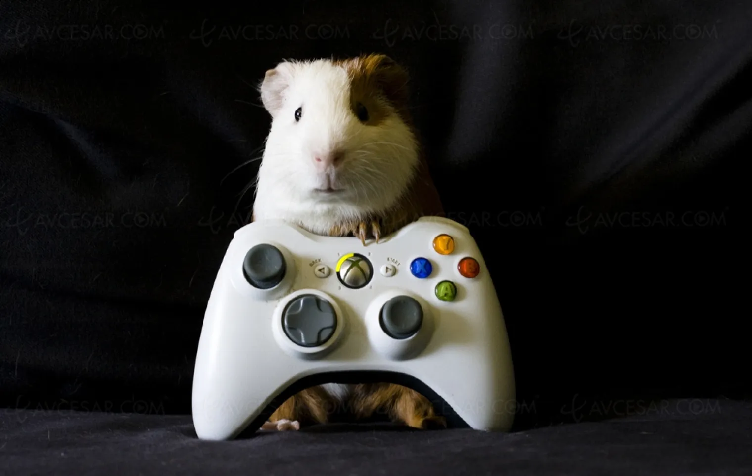 xbox-one-s-all-digital-edition-sortie-imminente-pour-la-version-sans-lecteur-blu-ray