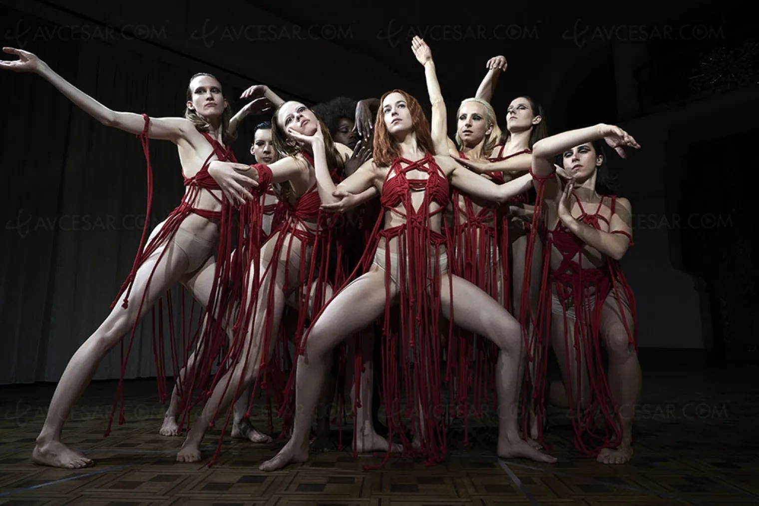 suspiria-le-remake-ambitieux-du-chef-d-oeuvre-de-dario-argento-par-luca-guadagnino