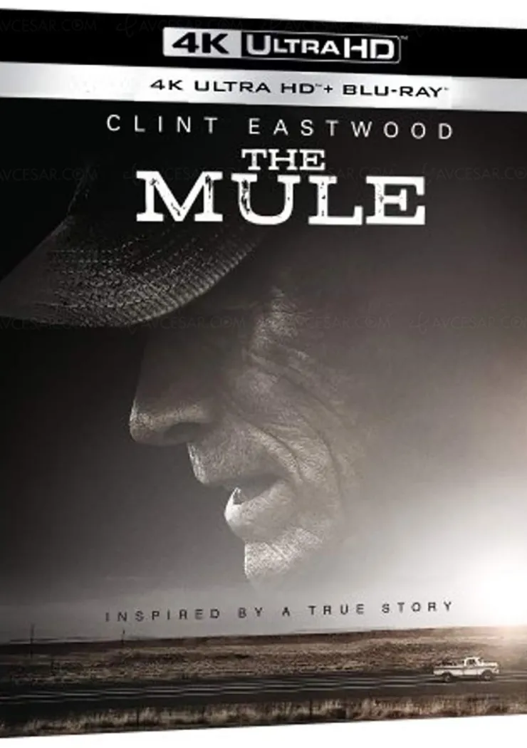 la-mule-4k-ultra-hd-clint-eastwood-au-sommet
