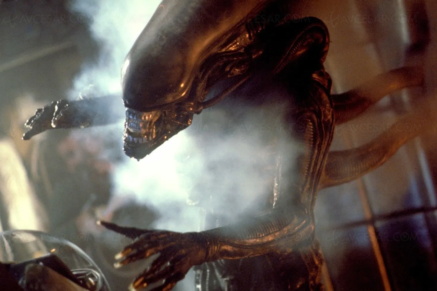 alien-le-huitieme-passager-4k-ultra-hd-record-de-visites-lectures-battu