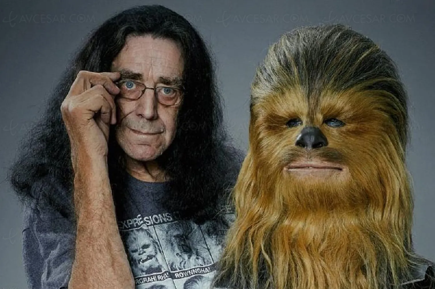 deces-de-peter-mayhew-le-premier-chewbacca-de-star-wars