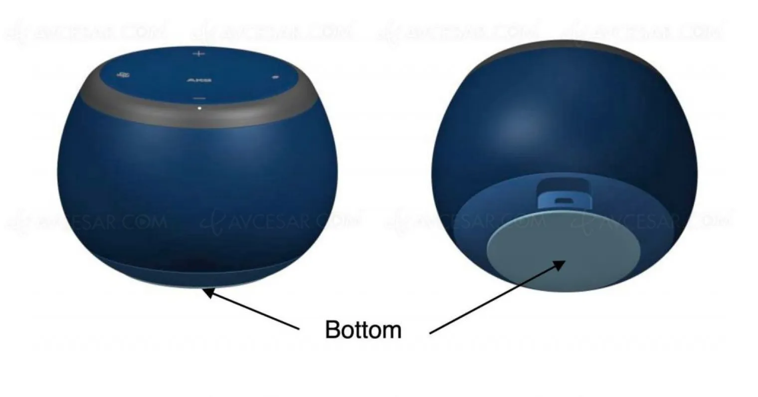 enceinte-galaxy-home-mini-images-en-fuite