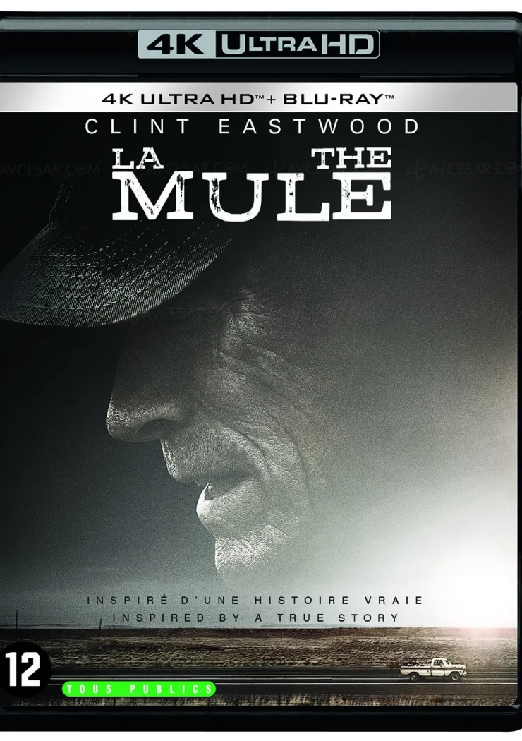 la-mule-4k-ultra-hd-visuel-j-8-en-france