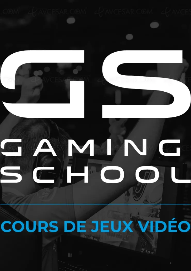 gaming-school-une-ecole-pour-devenir-un-ou-une-pro-du-jeu-video