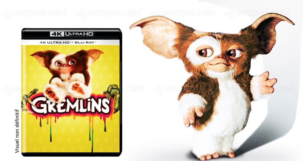 Gremlins 4K Ultra HD, ne les trempez pas dans l'eau le 1er octobre