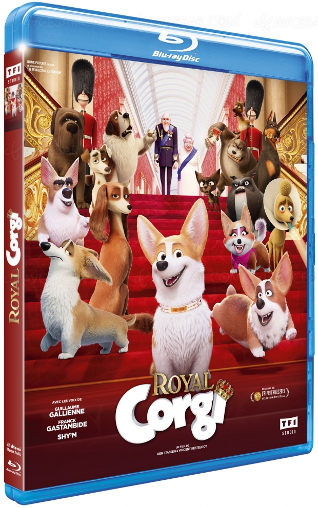 Royal Corgi, un film d’animation belge qui a du chien