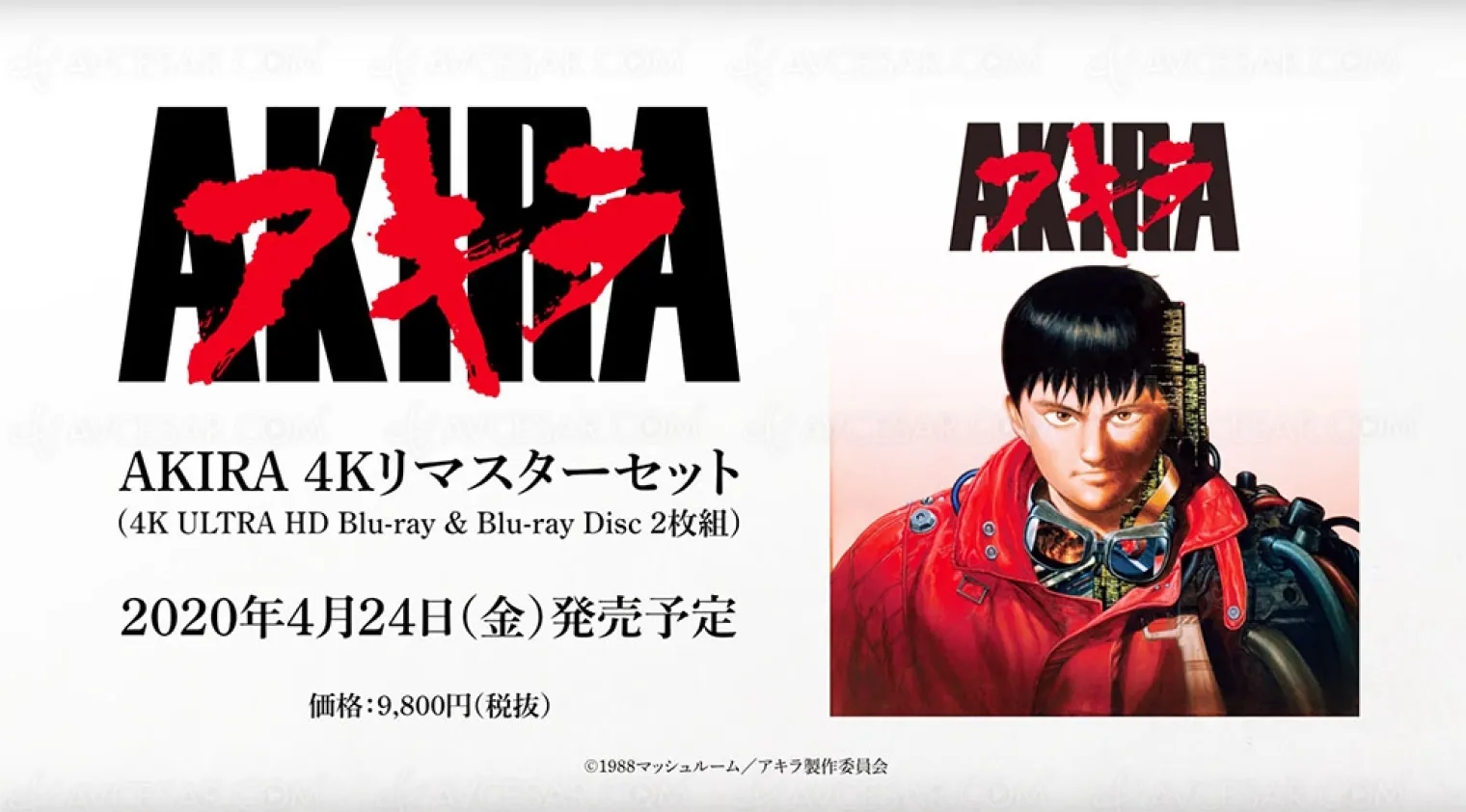akira-en-4k-ultra-hd-l-annee-prochaine-un-nouveau-film-pour-otomo