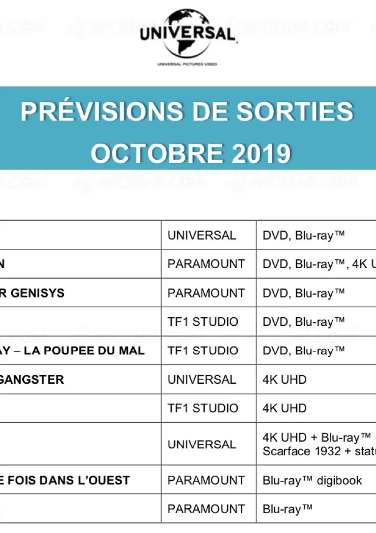 scarface-4k-casino-4k-rocketman-4k-american-gangster-4k-l-incroyable-planning-universal