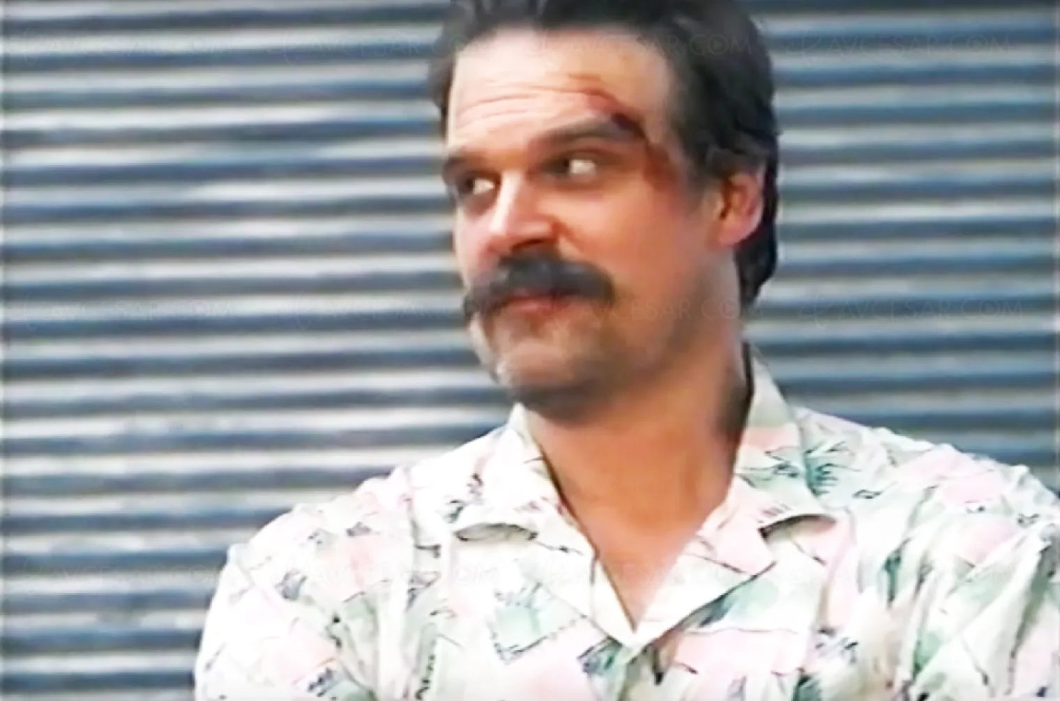 stranger-things-et-si-jim-hopper-etait-magnum-video