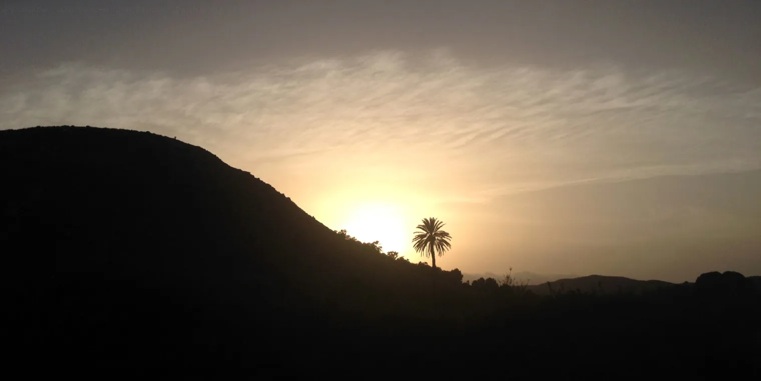 avcesar-com-recharge-ses-batteries-au-soleil-pour-une-rentree-berlinoise-a-ne-pas-louper