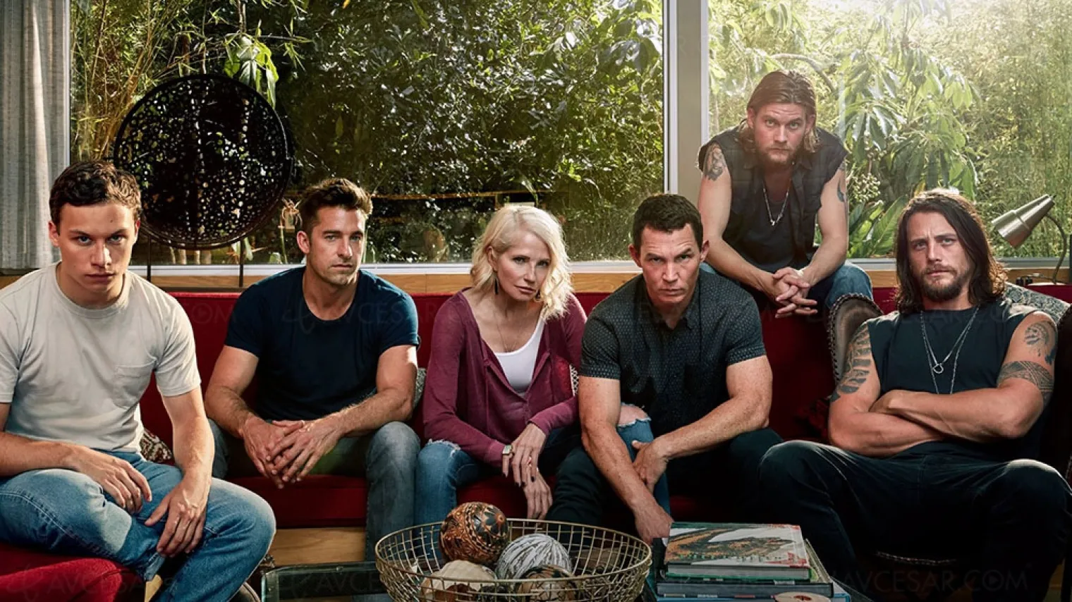 animal-kingdom-top-10-des-series-dramatiques-du-cable-us-sur-les-18-49-ans