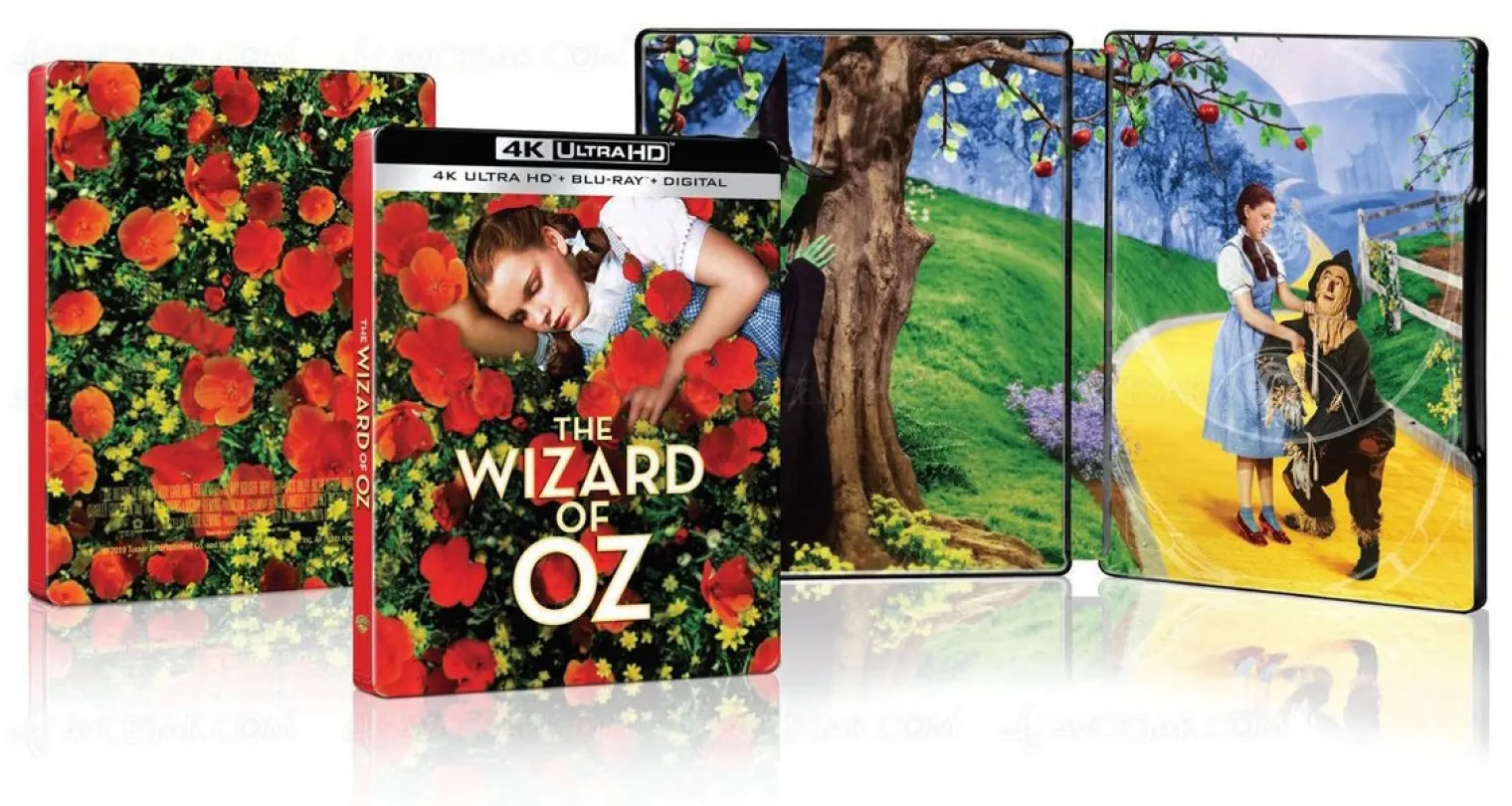 le-magicien-d-oz-4k-ultra-hd-80e-anniversaire-le-tres-beau-visuel