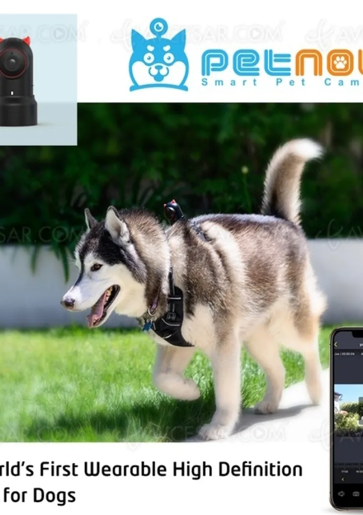 camera-petnow-pour-voir-ce-que-voit-votre-chien