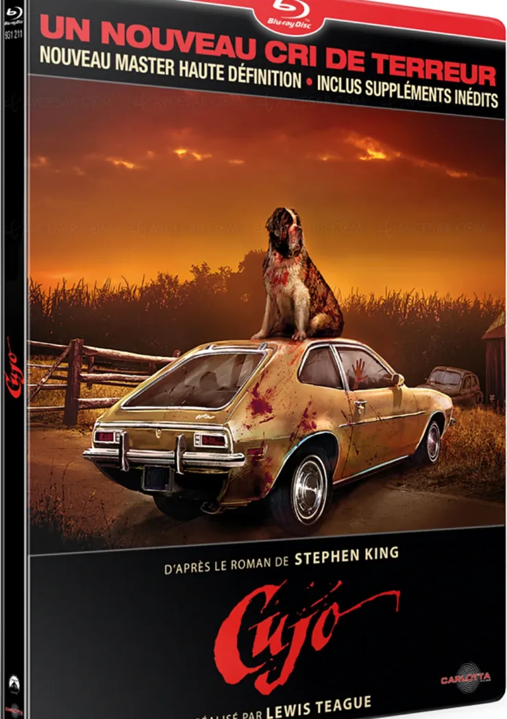 cujo-en-edition-limitee-steelbook-blu-ray-attention-chien-mechant