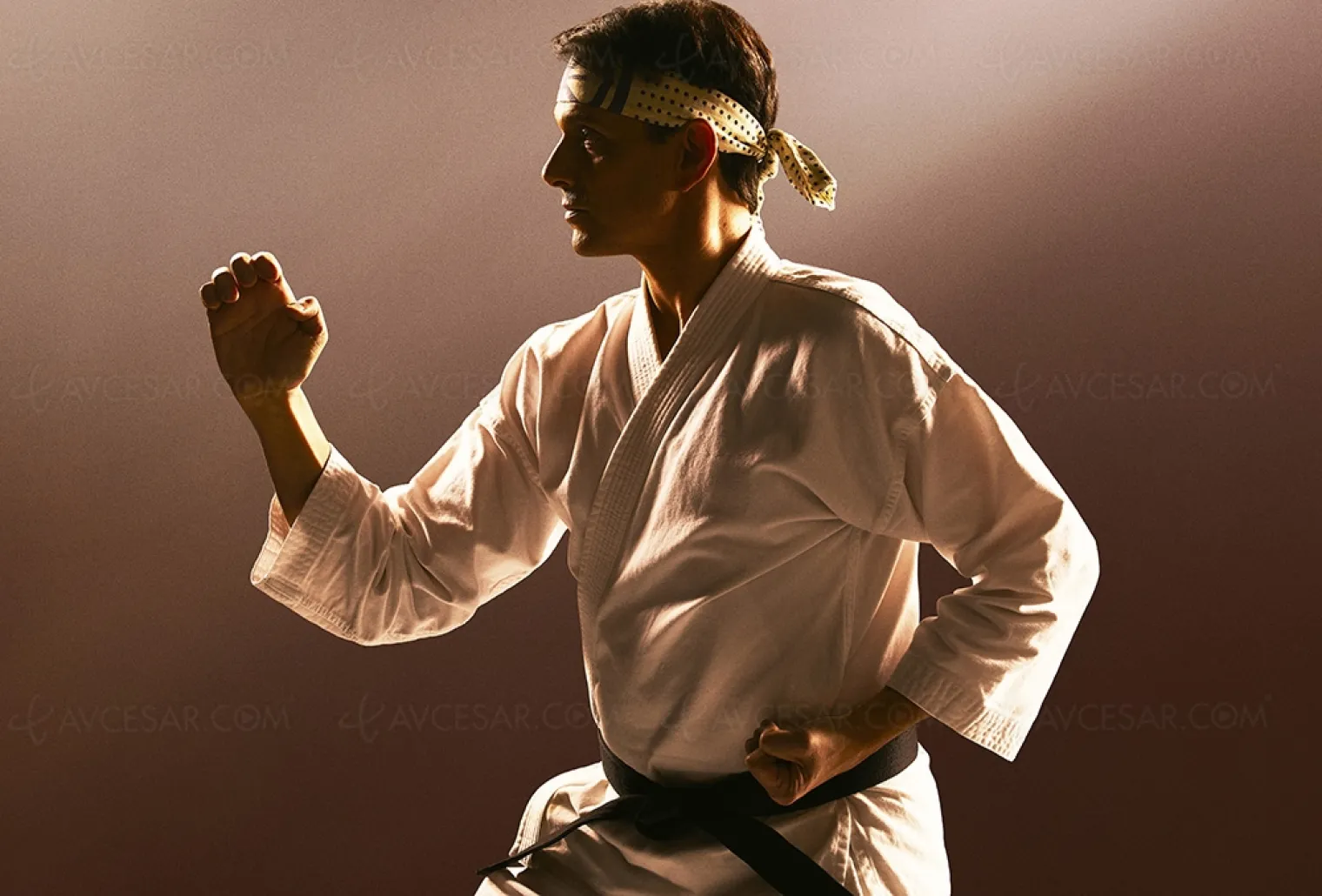 cobra-kai-gratuit-jusqu-au-12-septembre-precipitez-vous