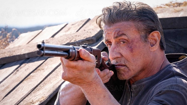 Rambo Last Blood : « Le film est nul » (pour le créateur du personnage)
