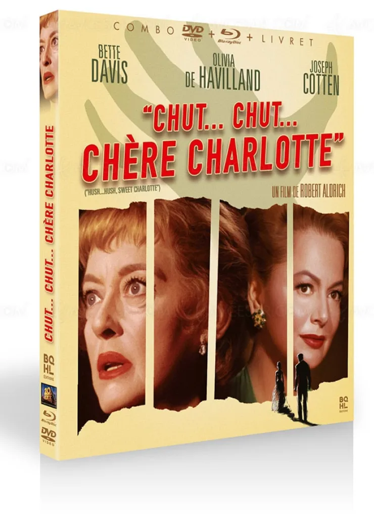 chut-chut-chere-charlotte-bette-davis-au-sommet-de-la-folie-dans-le-thriller-glacant-de-robert-aldrich
