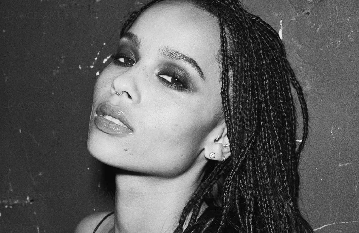 zoe-kravitz-sera-la-prochaine-catwoman