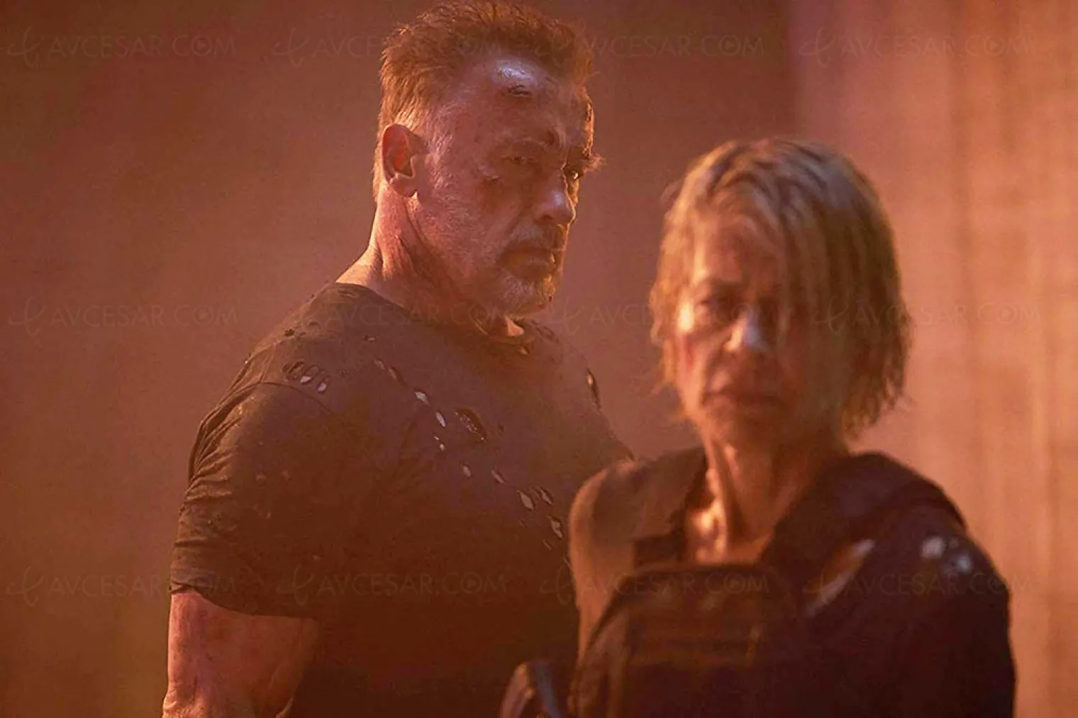 terminator-dark-fate-un-reboot-sans-ame