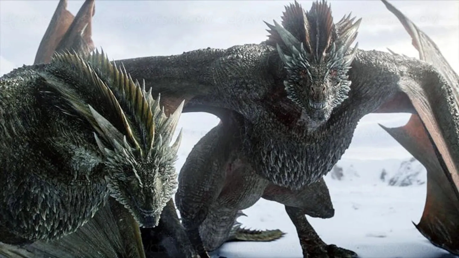 spin-off-game-of-thrones-house-of-the-dragon-confirme-et-commande
