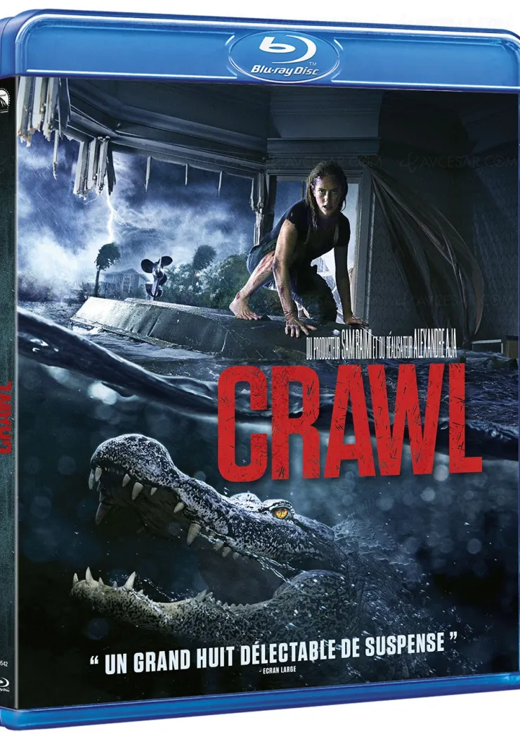 crawl-des-crocos-feroces-dans-le-film-catastrophe-d-alexandre-aja