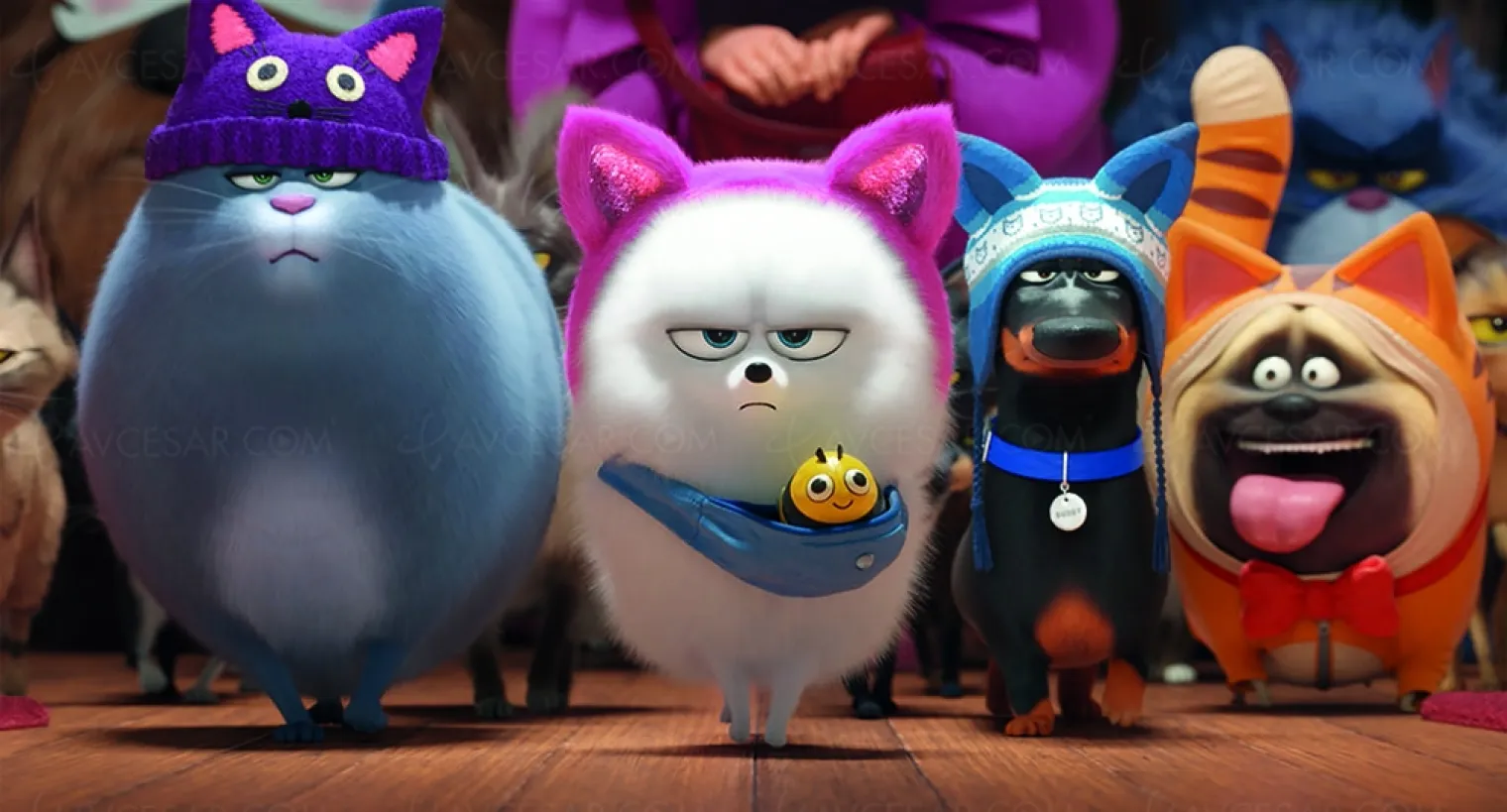 comme-des-betes-2-max-et-sa-bande-sont-de-retour-en-4k-ultra-hd
