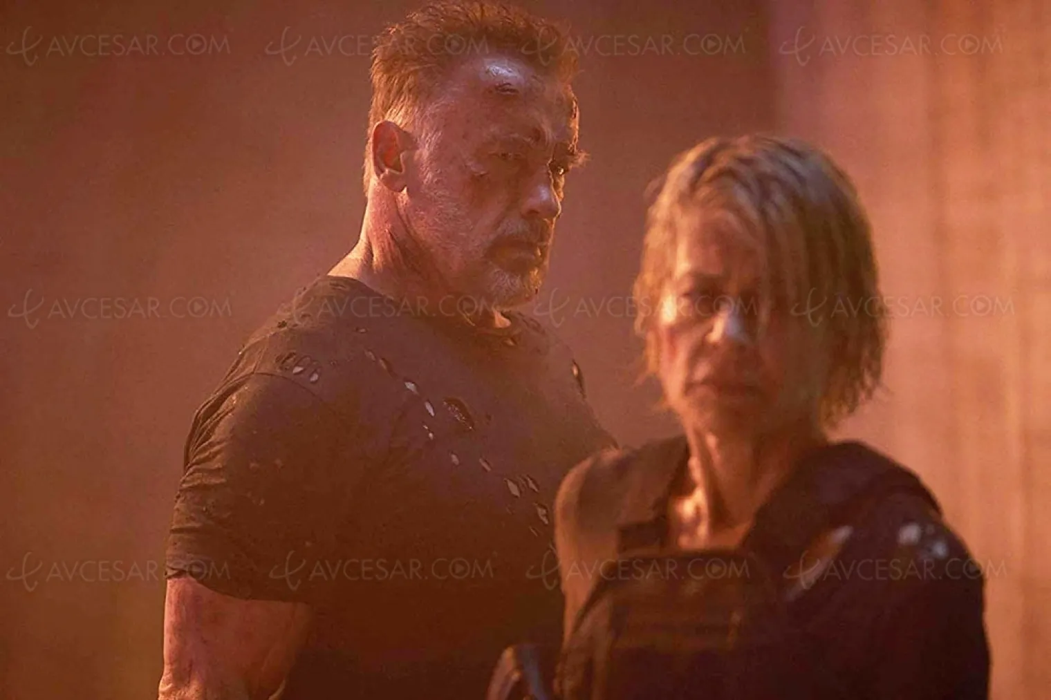 terminator-dark-fate-une-catastrophe-economique