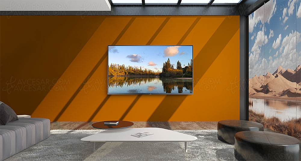 TV LED Xiaomi en France en&nbsp;2020&nbsp;: objectif prix&nbsp;«&nbsp;honnête&nbsp;»&nbsp;?