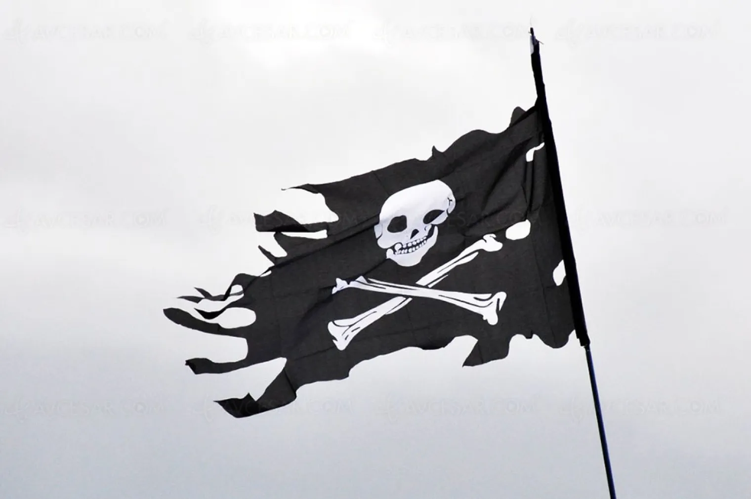 disney-des-milliers-de-comptes-pirates-revendus-au-marche-noir