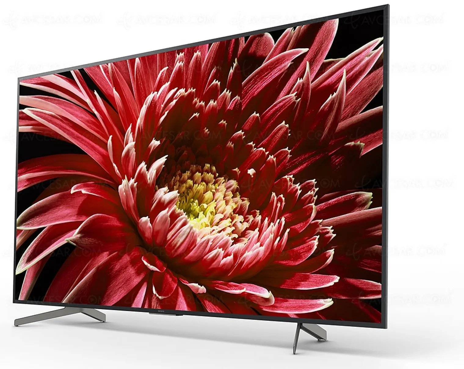 black-friday-2019-tv-led-ultra-hd-4k-sony-85xg8505-216-cm-2-999-soit-1-000-de-remise