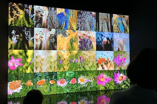 Mori Art Museum&nbsp;: projection Ultra&nbsp;HD/8K au musée numérique&nbsp;japonais