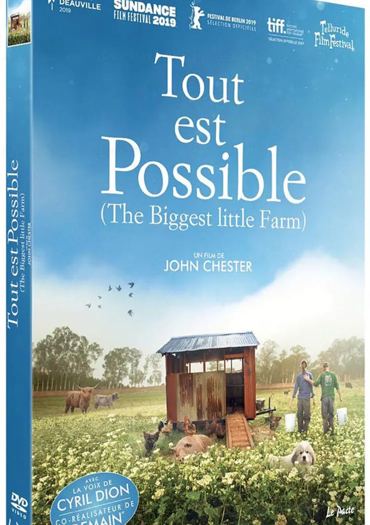 tout-est-possible-recit-intime-d-un-retour-a-la-nature-filme-sur-8-annees