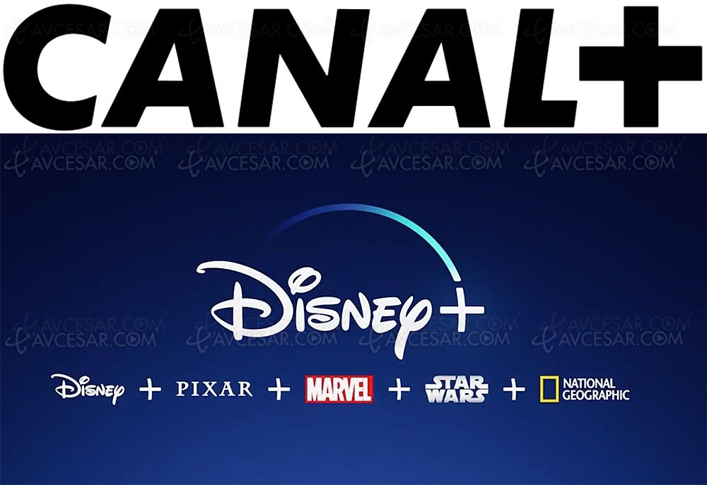 Canal+ va distribuer&nbsp;Disney+