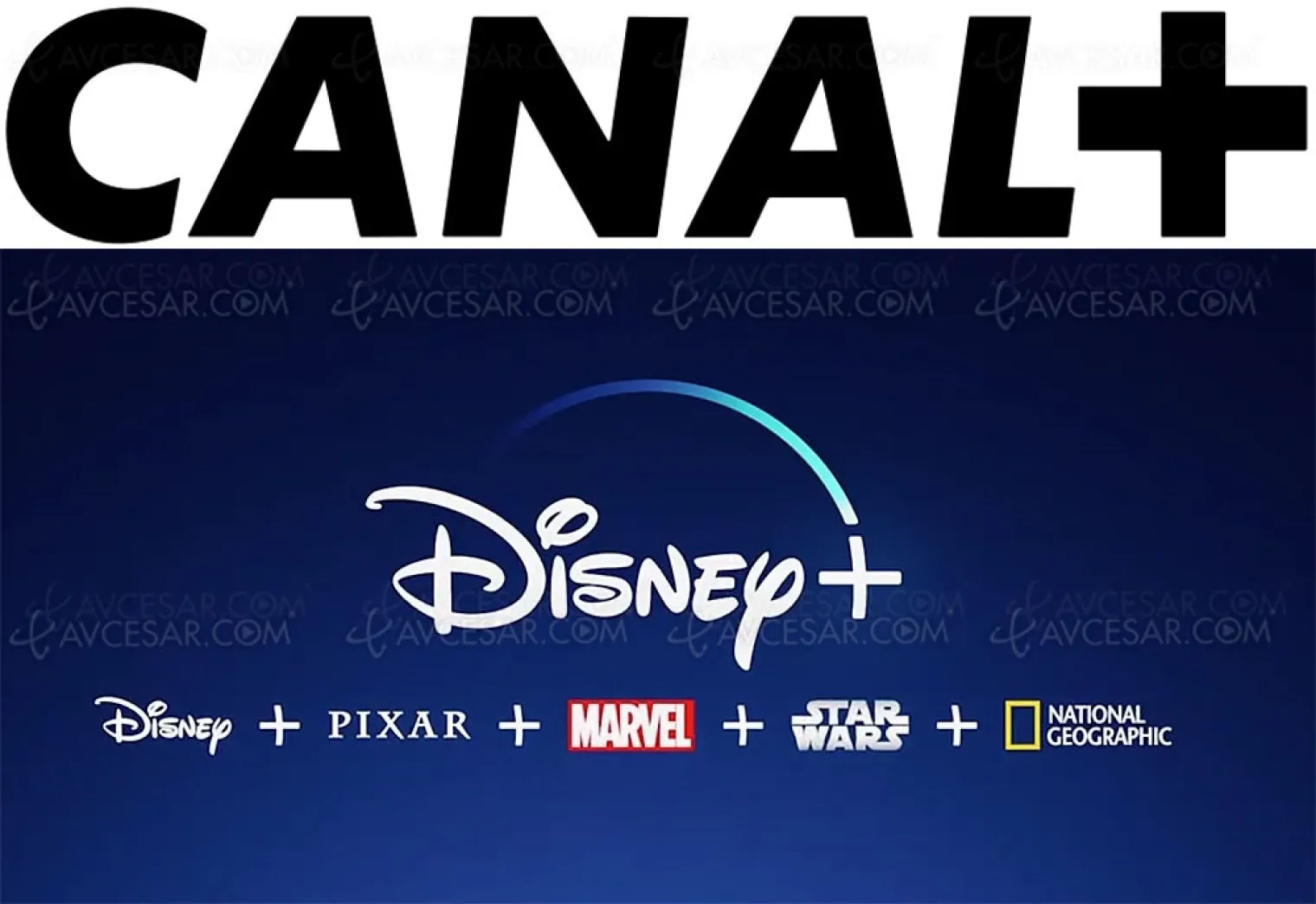 canal-va-distribuer-disney