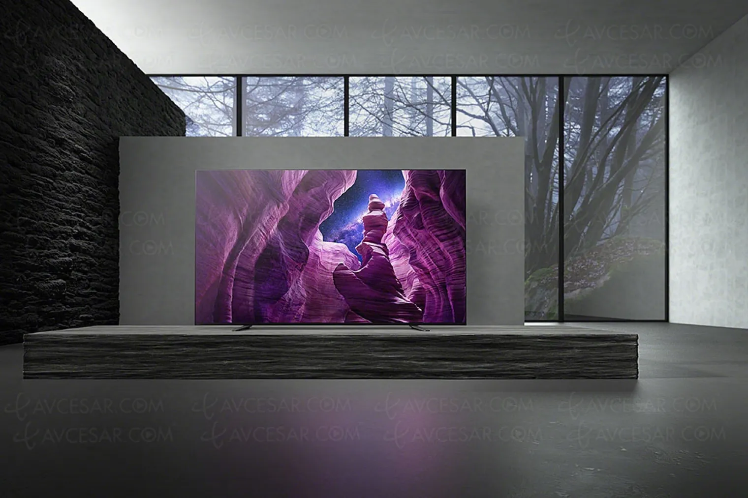 ces-20-tv-bravia-oled-sony-a8-55-et-65-avec-acoustic-surface-google-assistant-x1-ultimate-triluminos